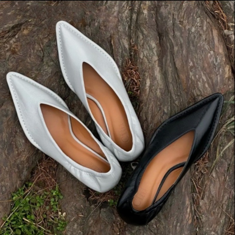 حذاء فردي جديد بمقدمة مدببة لع - مراجعة Women'S Fashion Shoes وسعره